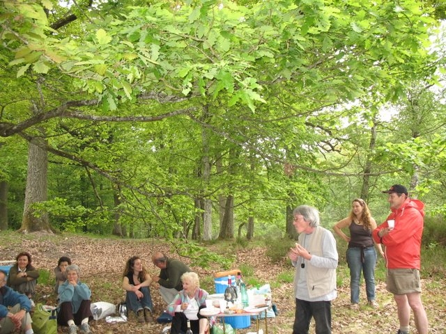 2007 04 Plantes alimentaires 14